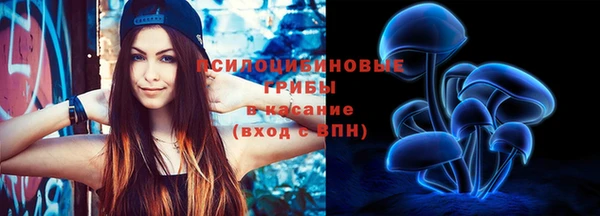 apvp Семёнов