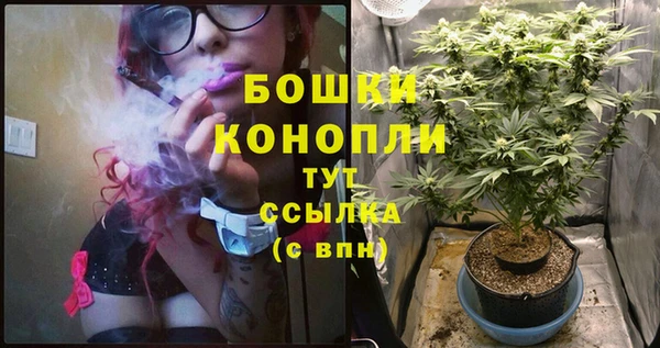 тгк Белокуриха