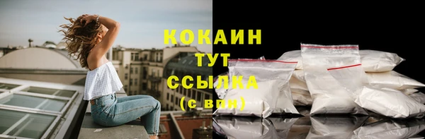 тгк Белокуриха