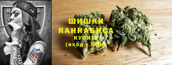 тгк Белокуриха
