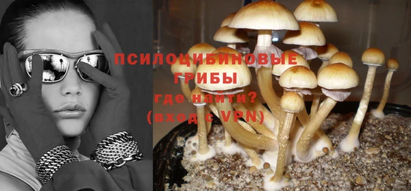 тгк Белокуриха
