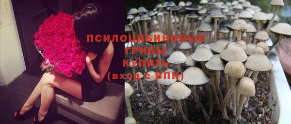 тгк Белокуриха
