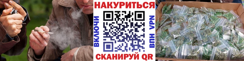 купить наркотики сайты  Кузнецк  Бошки Шишки семена 